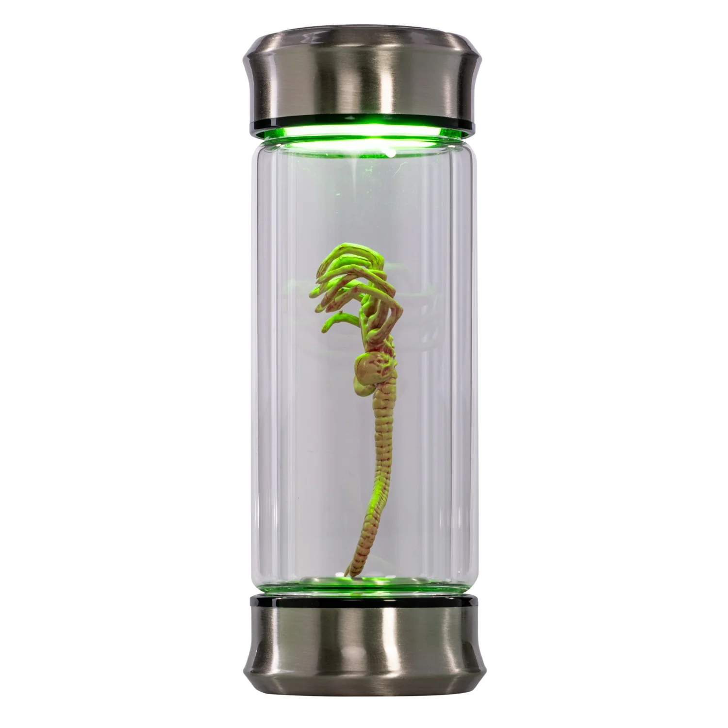 Alien Embryo Glass Jar Display 8” Collectible Movie Prop Replica